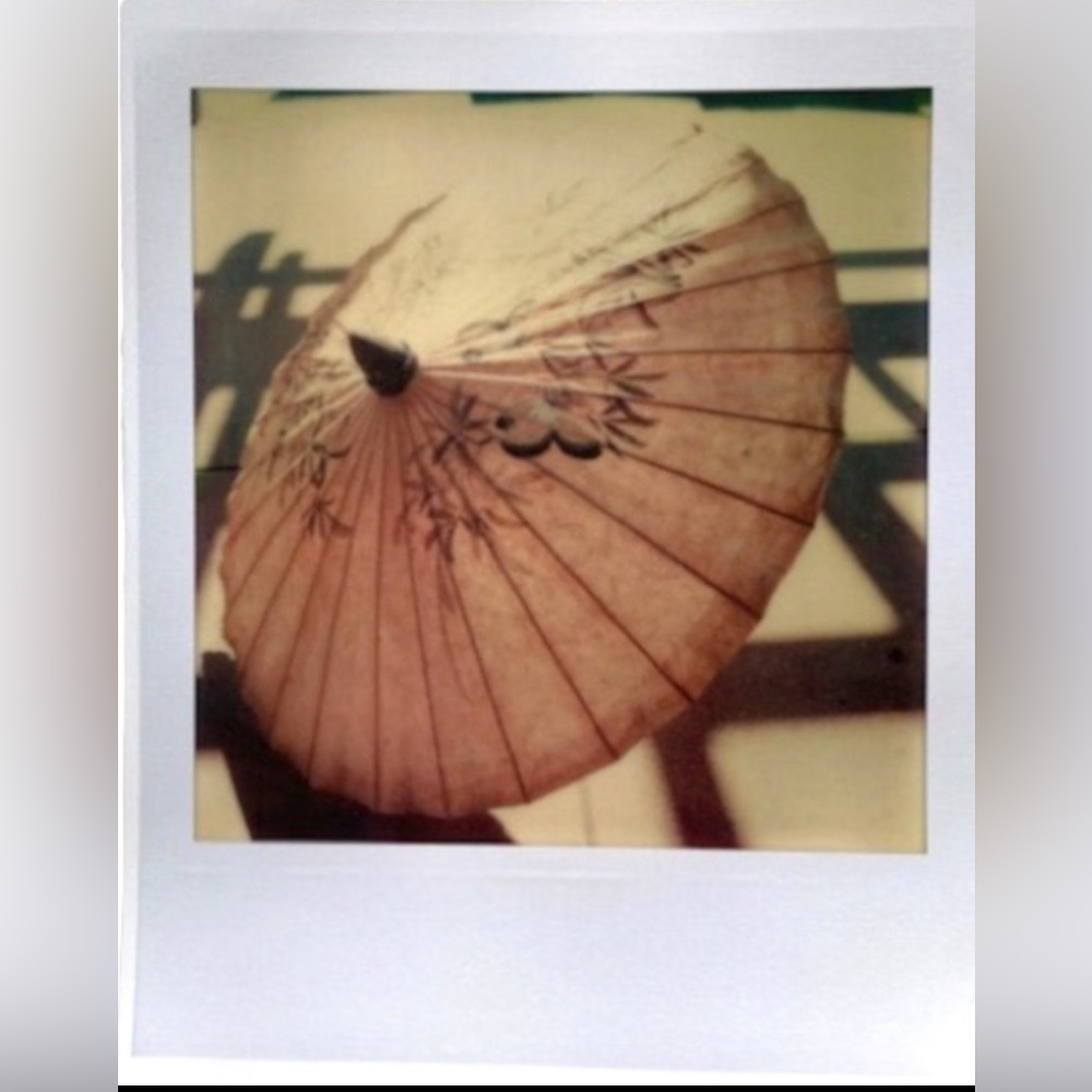 Parasol 8x10 Art Print Original Photography Professional Gift Decor Wall - Picture 3 of 5
